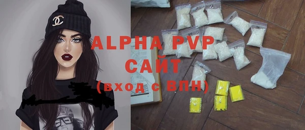 молекула духа Алексин