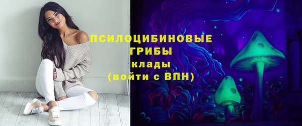 spice Алексеевка