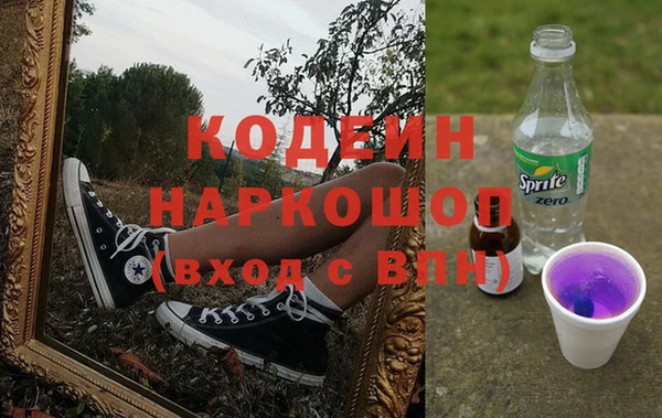 гашик Козельск